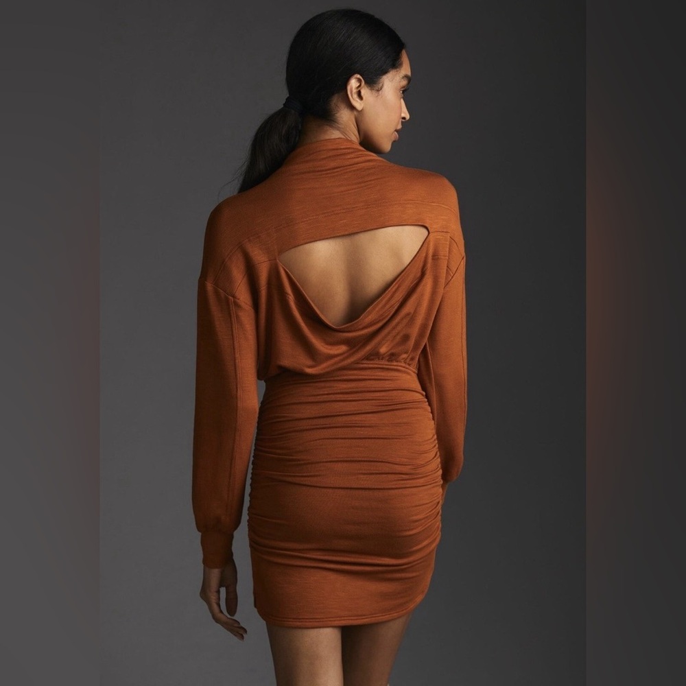 Daily practice rusty orange rouched sweater dress
